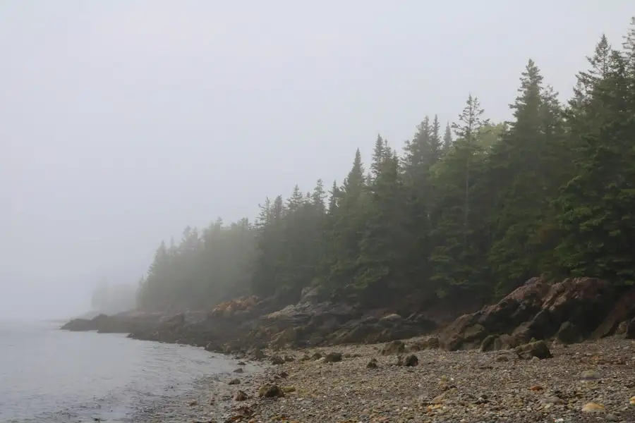 Maine